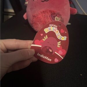 Squishmallows Pink and Red Plush Toy